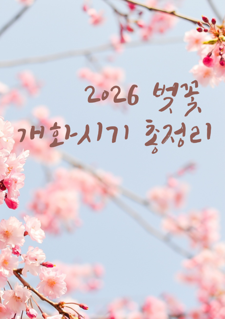 2026 벚꽃 개화시기 총정리
