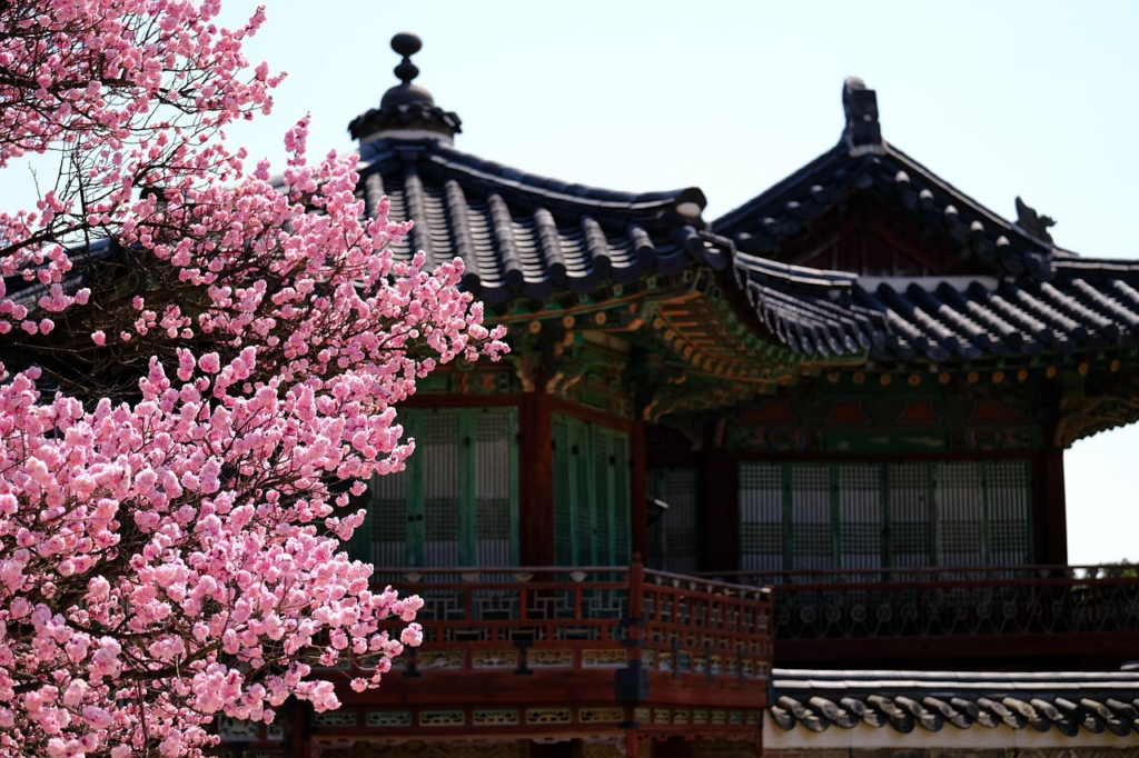 The beautiful architecture of Changdeokgung Palace, a UNESCO World Heritage site known for its harmony with nature. This palace is famous for its Secret Garden (Huwon), offering a peaceful and authentic traditional atmosphere for visitors in Seoul.