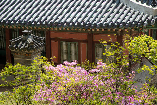 Deoksugung Palace in downtown Seoul, showcasing a unique blend of traditional Korean and modern Western-style architecture. This palace is a great spot for night tours and is conveniently located near Seoul City Hall and Jung-gu.