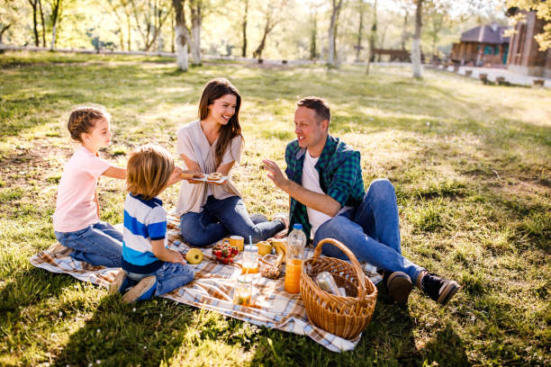 simple picnic setup for kids